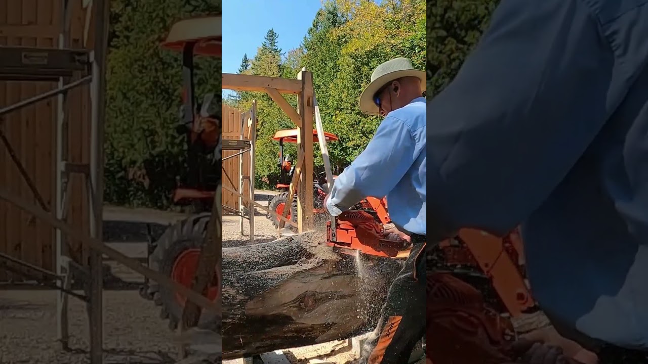 Cutting Knots - Echo chainsaw