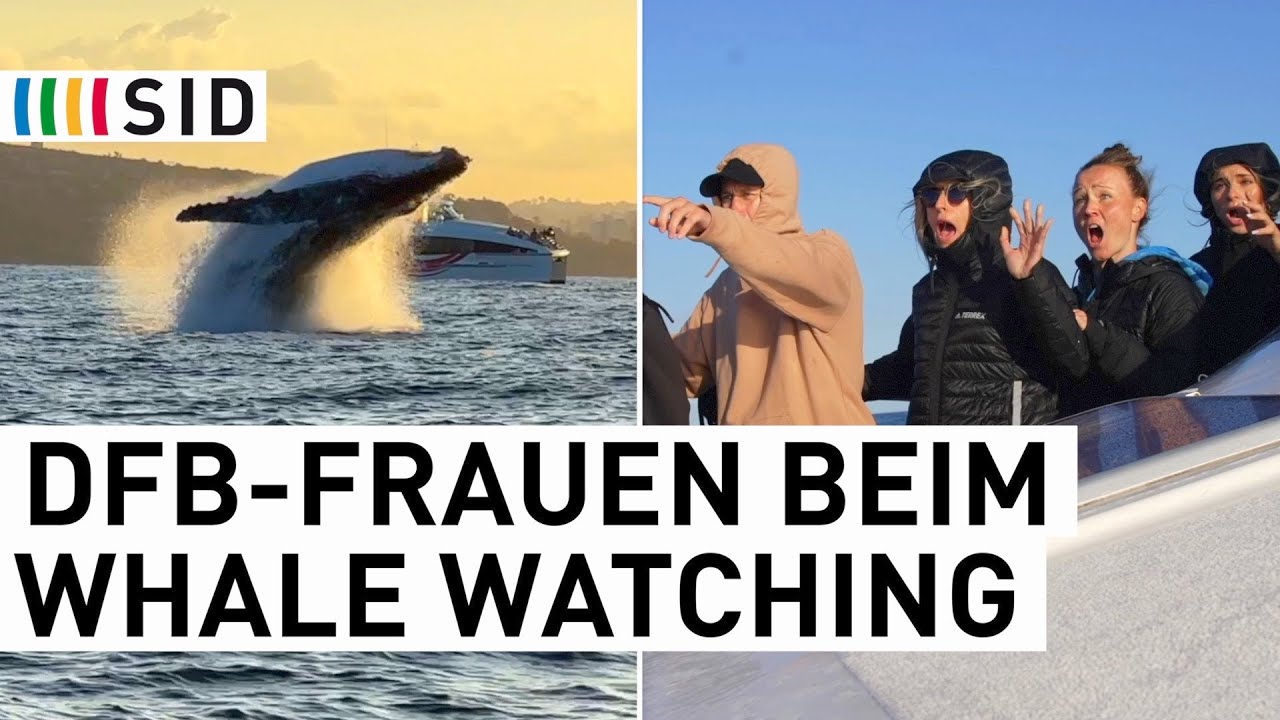 DFB-Frauen im Touri-Modus: Whale Watching und Städtetrip nach Sydney | SID