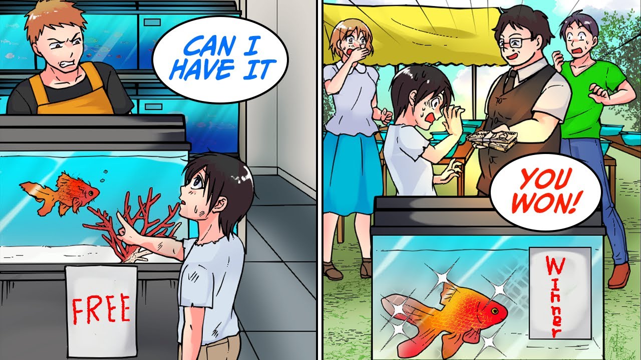 I got this goldfish from this pet store for free, but then... [Manga Dub]