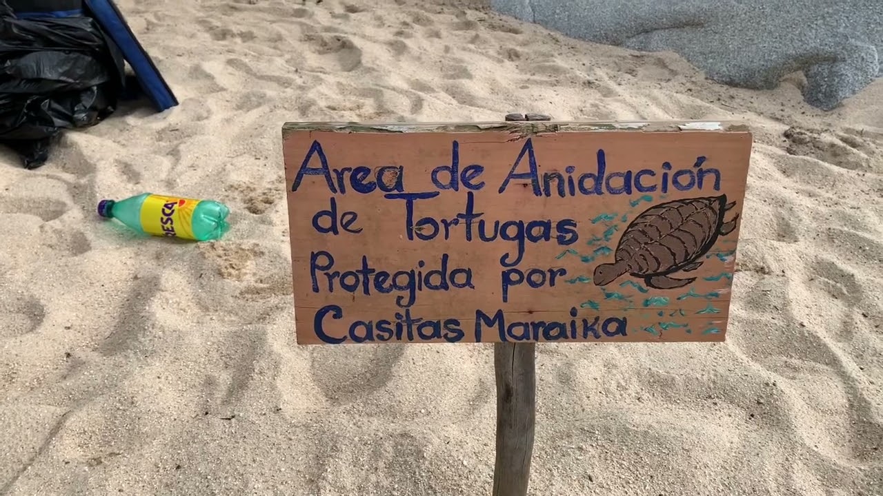 Casitas maraika hotel beach club