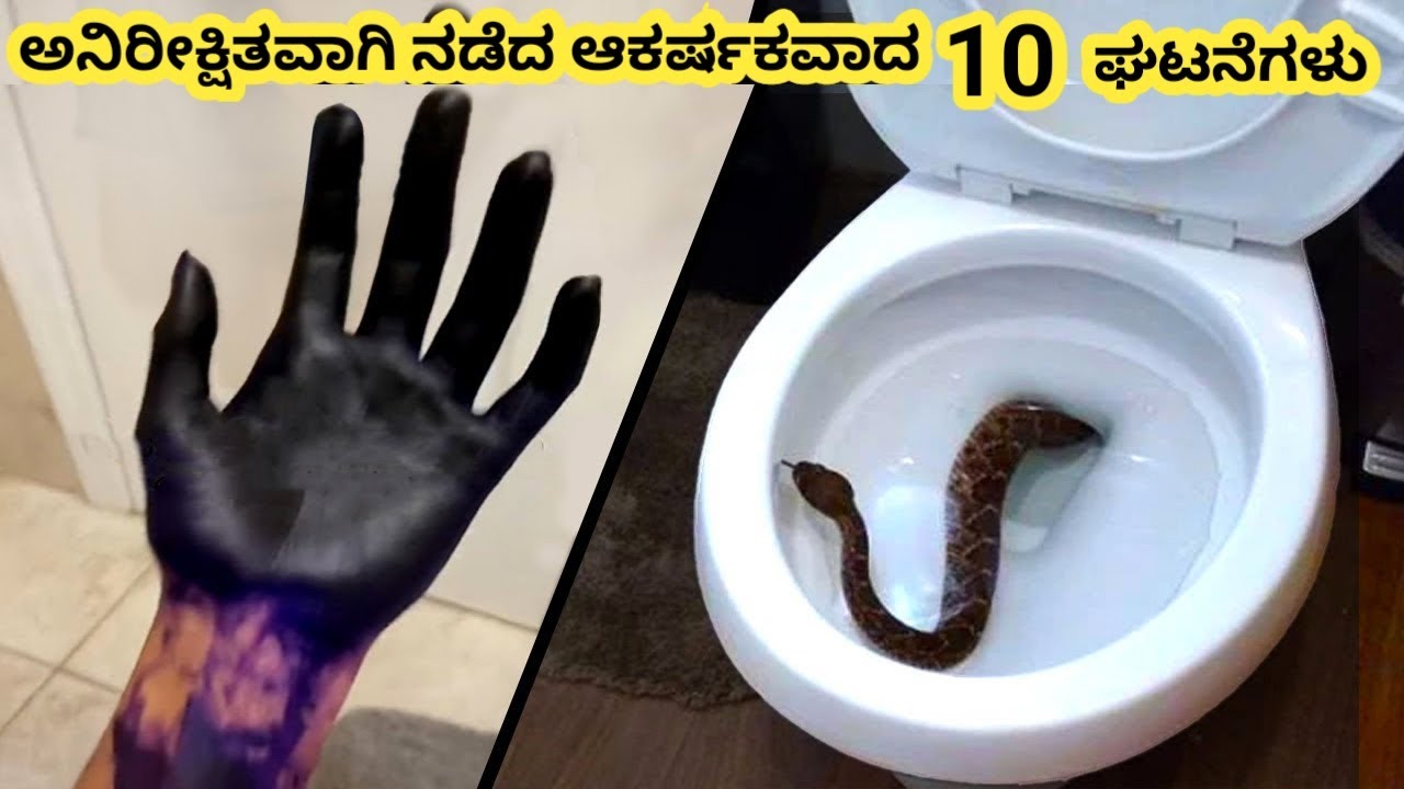 ಆಕರ್ಷಕವಾದ ಘಟನೆಗಳು || Incredible Moments Caught on Camera || Kannada Factoids