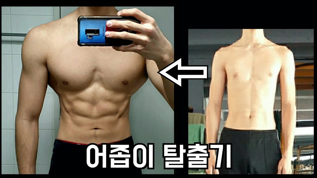 내가 어깨를 넓힌 방법 & 원리