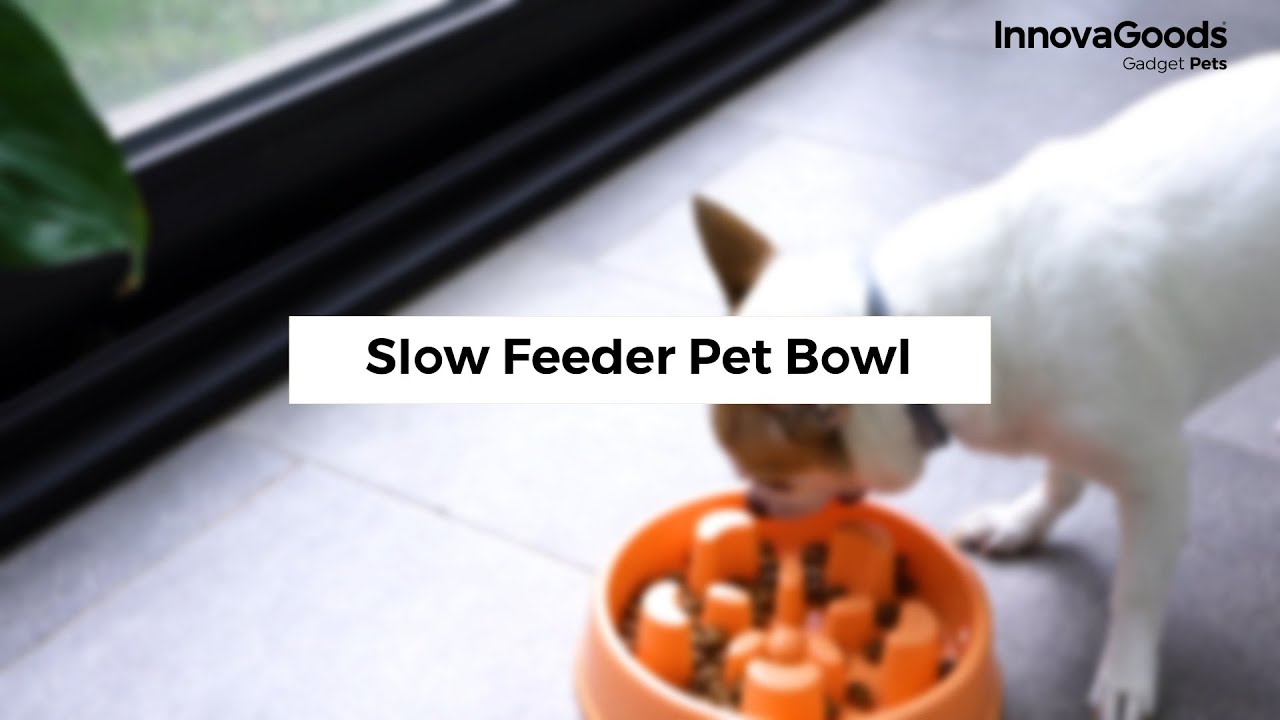 InnovaGoods Slow Feeder Pet Bowl