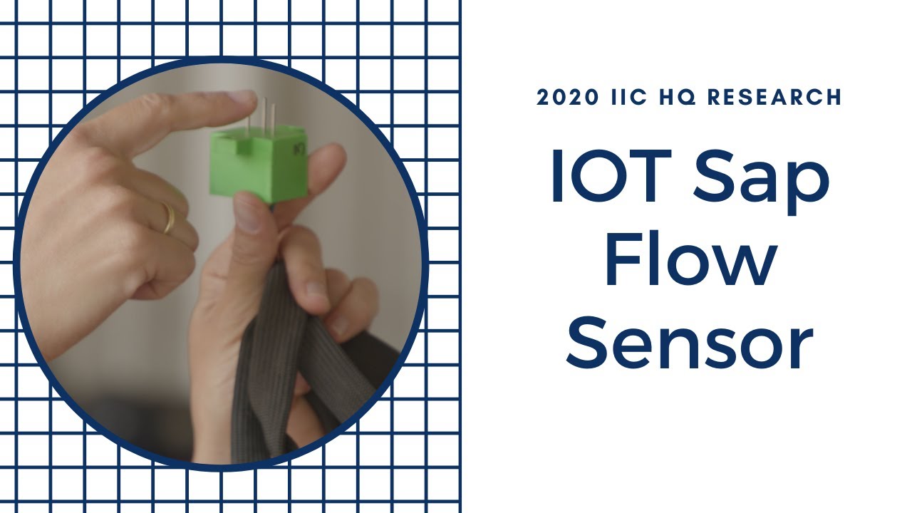 IOT Sap Flow Sensor