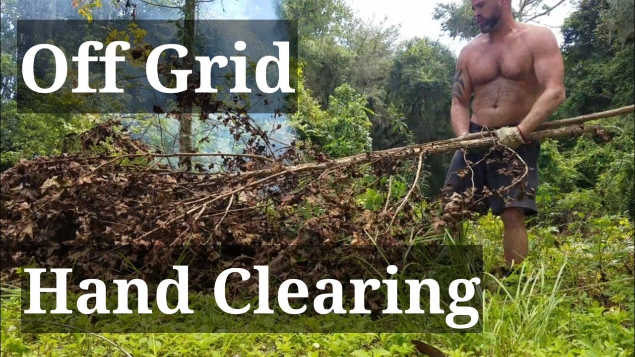 Off Grid In Florida, Hand clearing #diy #family #homestead #house #fun #garden #vlog