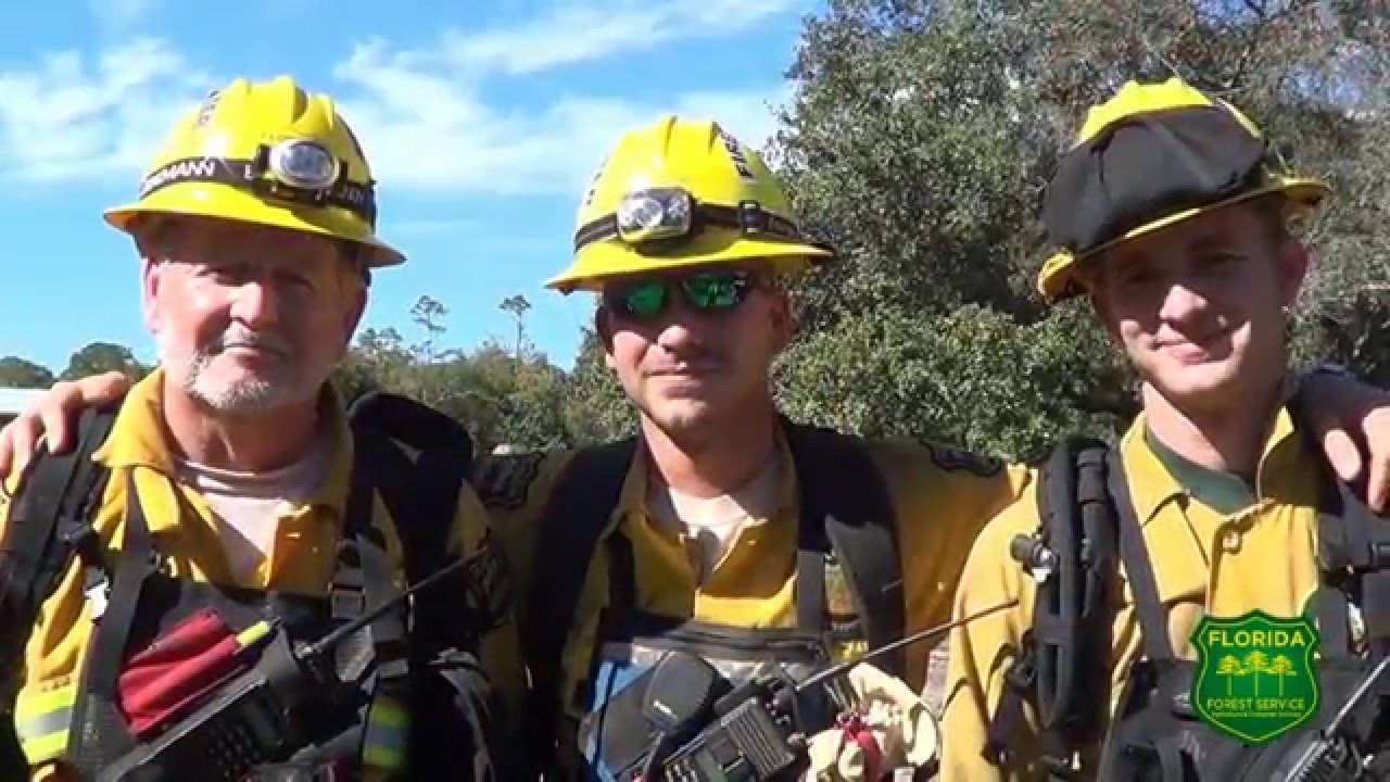 The Florida Forest Service: Who We Are
