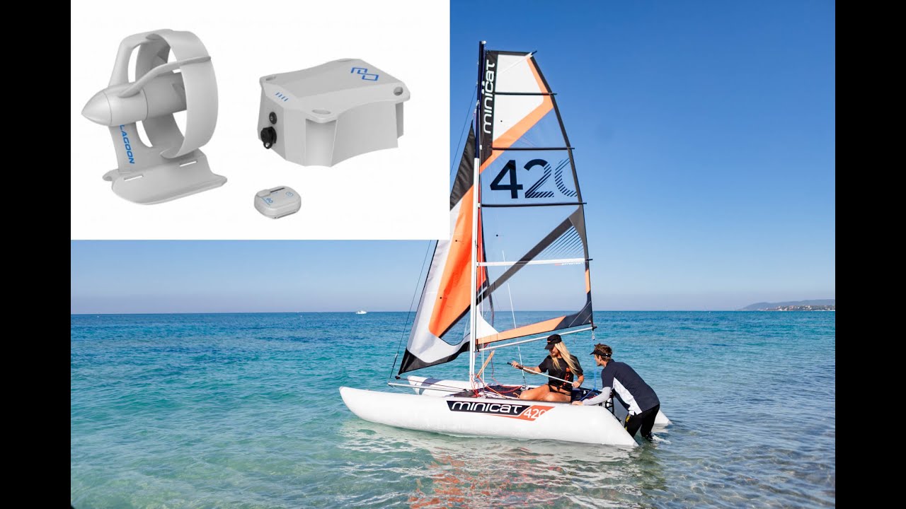 VAQUITA (Epropulsion) Motor am MINICAT 420