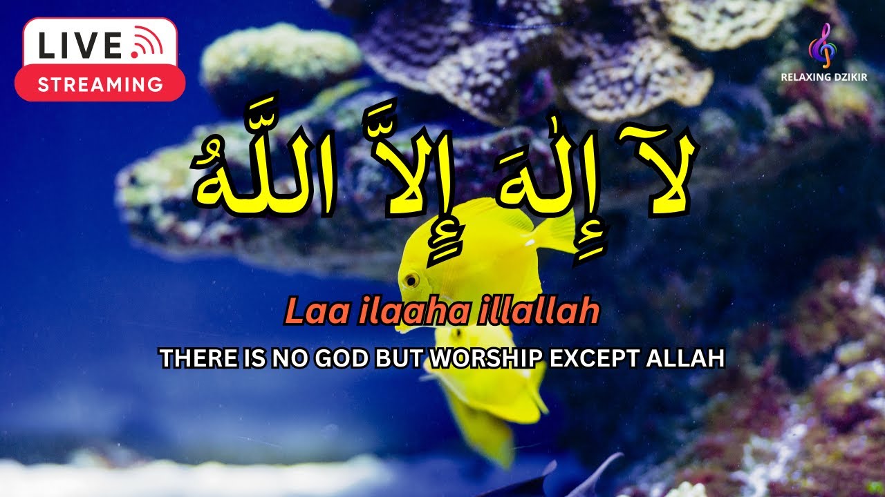 LAILAHAILLALLAH: Sleep Dzikir For Reduce stress #30