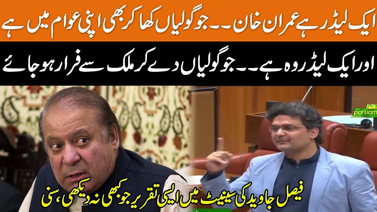 Senator Faisal Javed's Historic Speech in Senate Session