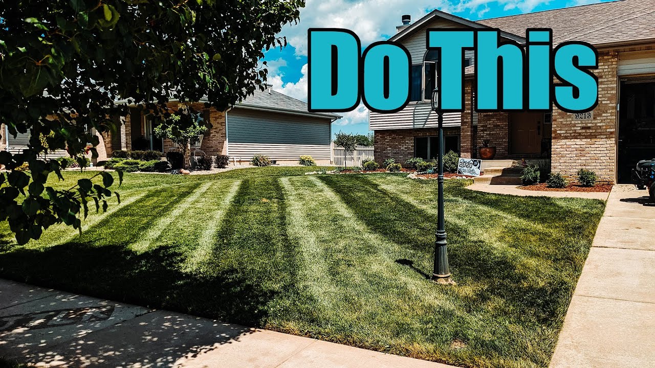How To FIX Your CRAPPY LAWN for Guests // Results in 7 DAYS!!! (Double Dark Green)