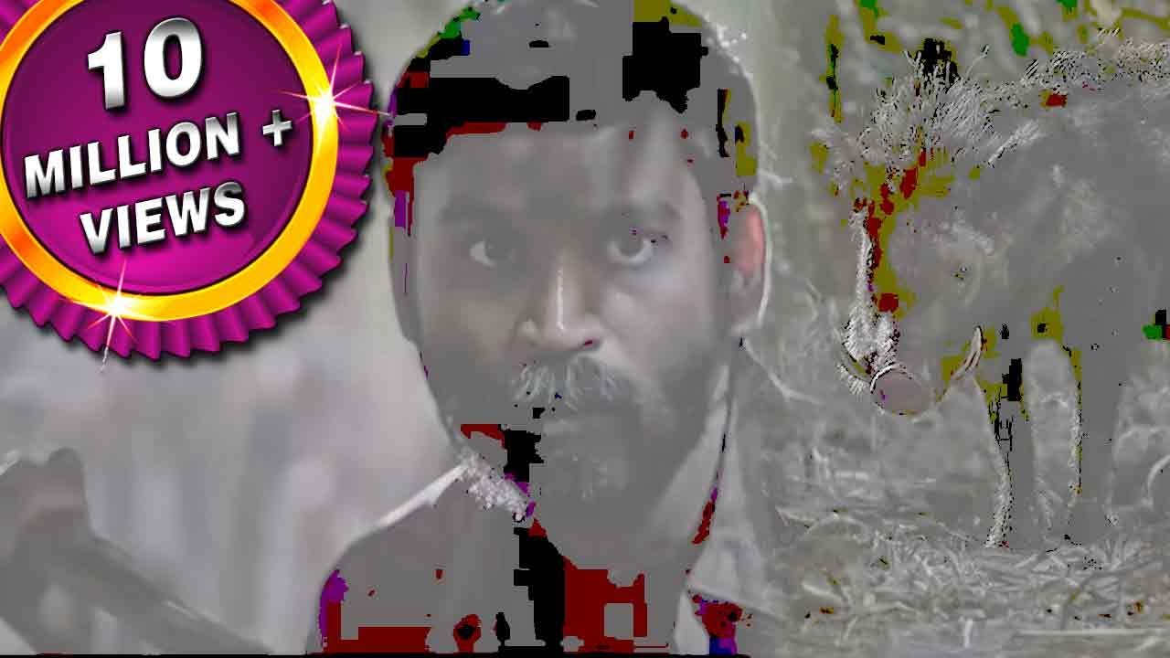 जंगली सूअर का शिकार करने के लिए धनुष ने कैसा जाल बिछाया देखिये असुरन मूवी का जबरदस्त सीन