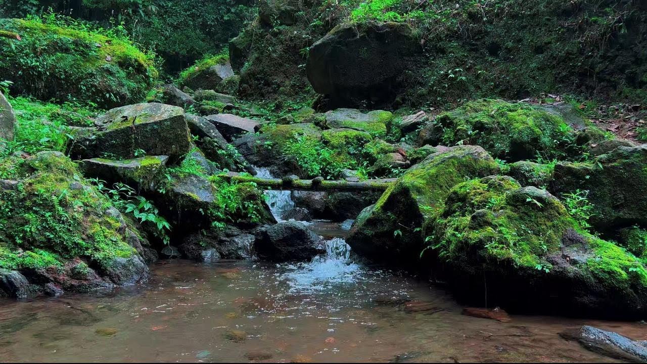 4K-HDR | Peaceful River Stream Ambience for Sleep and Relaxation | Gentle Water Sounds for Healing