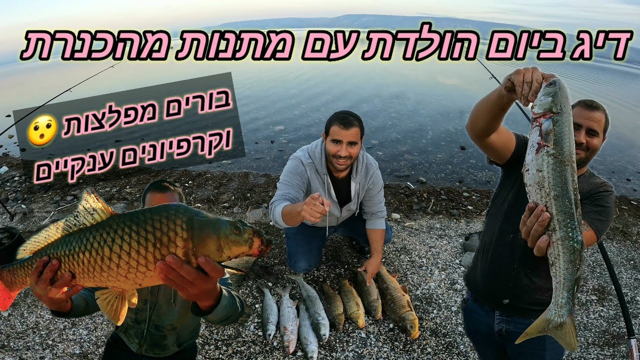 דיג בכנרת ביום הולדת שלי הכנרת נתנה לי יום מטורף בורים ענקיים וקרפיונים