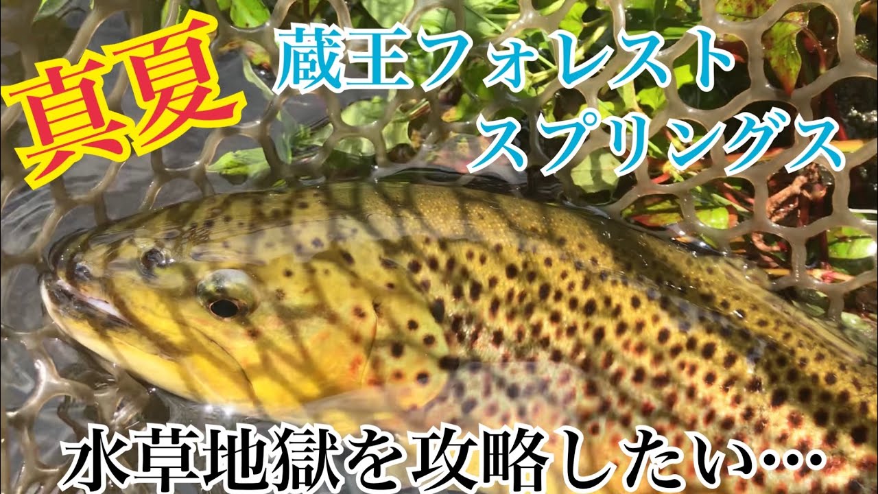 【エリアトラウト】2021/07/24真夏の蔵王フォレストスプリングス 非常に厳しい夏が来た…【エリアミノーイング】