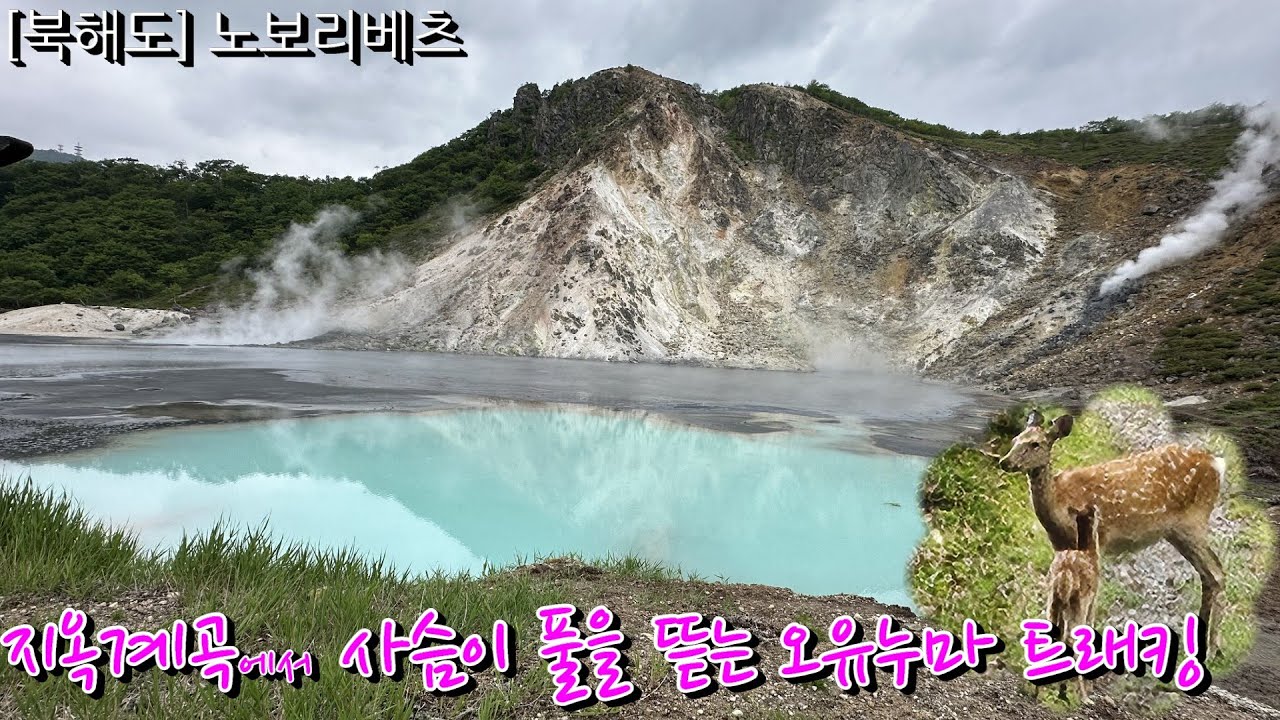 [북해도] 노보리베츠: 지옥계곡부터 오유누마까지 자연속 산책