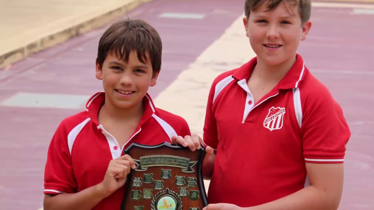 Welcome to Collector Public School