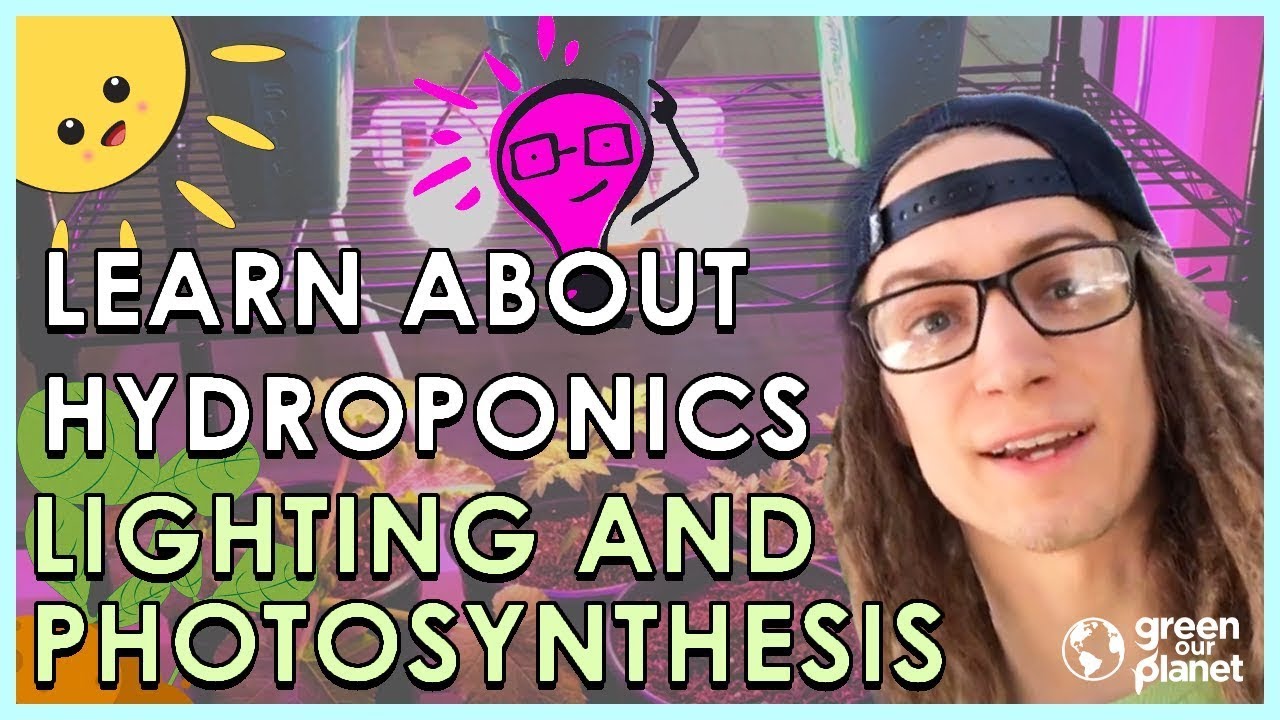 Photosynthesis and Hydroponic Lights