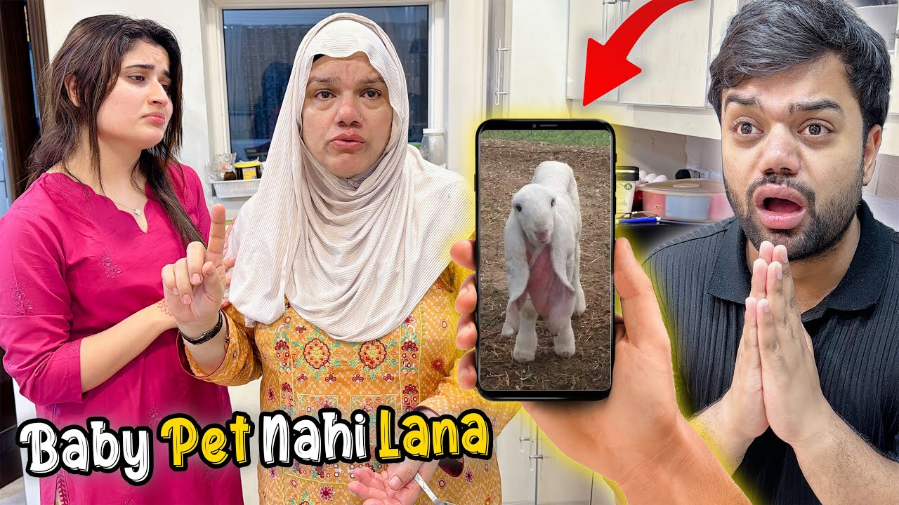 Mama Ne Pet Lene Se Mana Kar Diya 😭 | Baby Sheep Ki Ijazat Nahi Mil Rahi 💔
