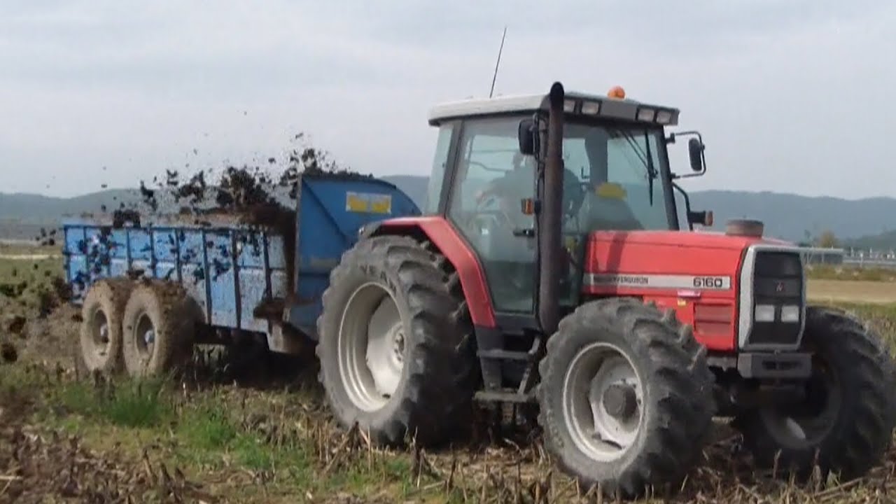 SPARGIMENTO LETAME 2014:Massey Ferguson 6160 e Ren Mark