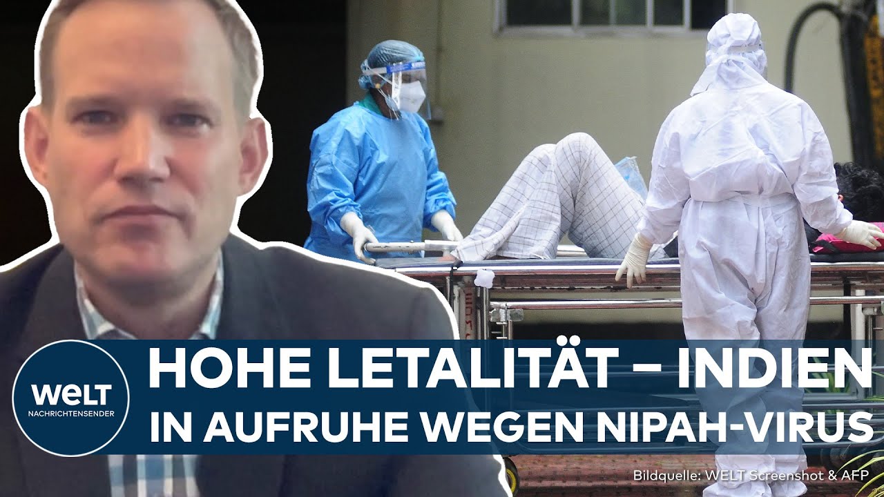 NIPAH-VIRUS: Neuer Ausbruch in Indien &ndash; Was ist es und wie gef&auml;hrlich kann es werden? | WELT Thema