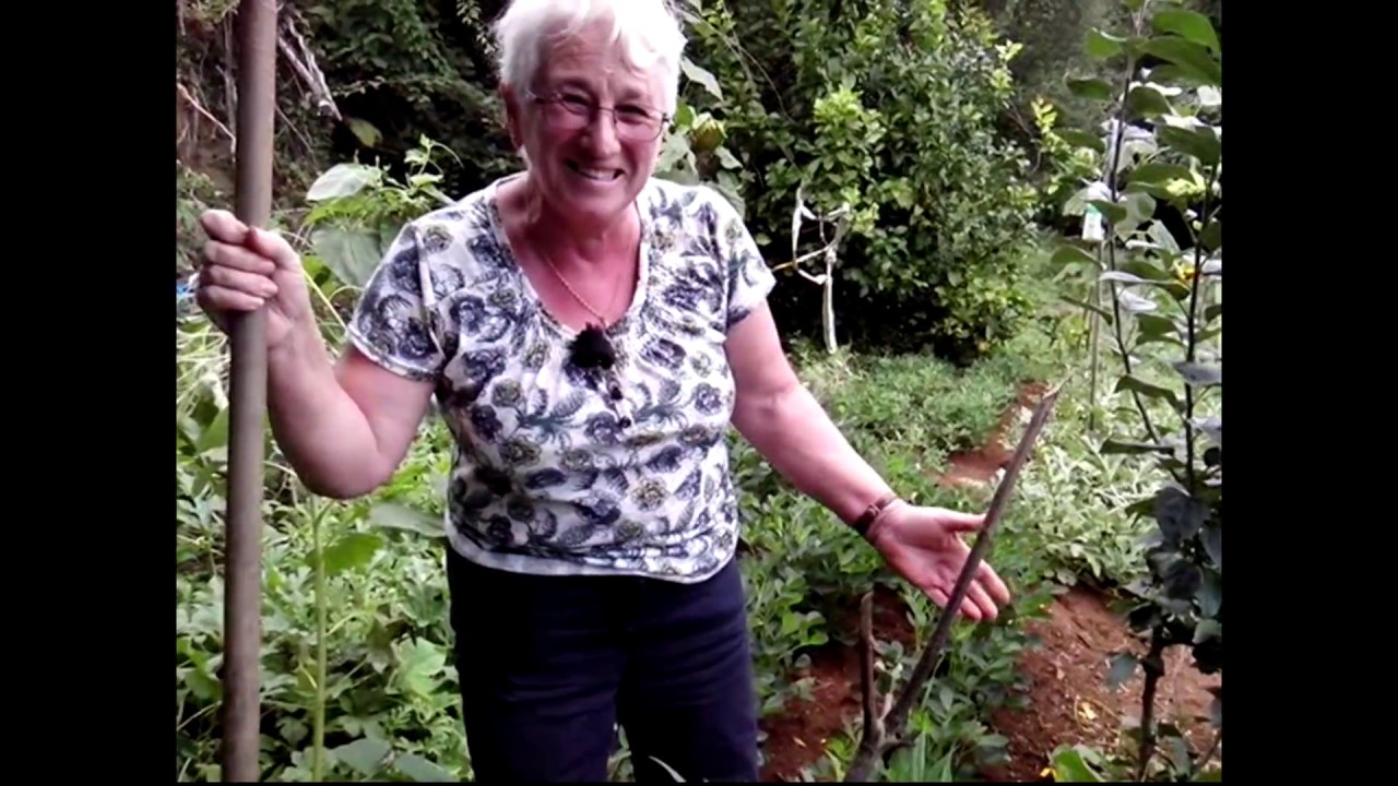 Marihuana na horta. Teño unha horta en San Sadurniño.