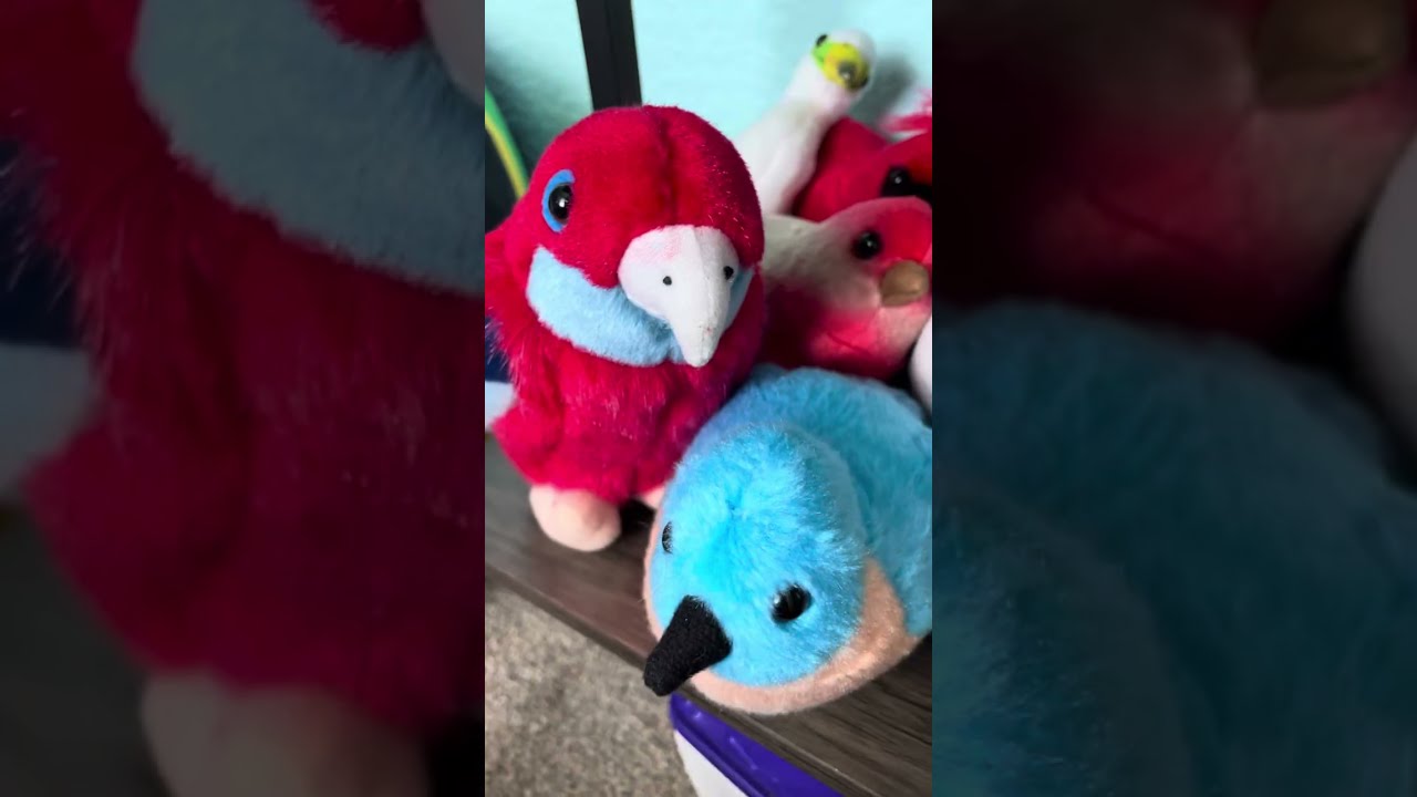 My entire wild republic bird collection