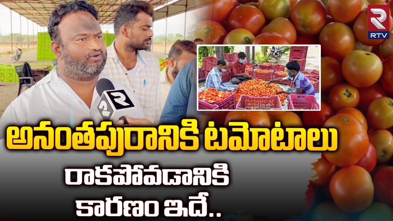 Ananthapur Tomato Market || అనంతపురానికి టమోటాలు రాకపోవడానికి కారణం ఇదే ..| RTV