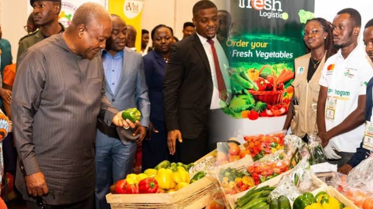 Wow😜Another Good News Prez John Mahama Promise 2 End Raw Food Export to Europe Urge Africans to do..