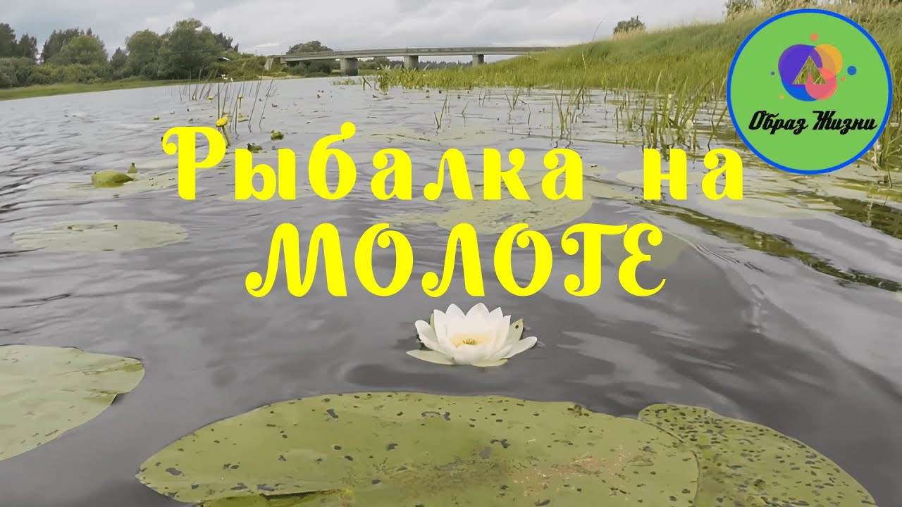 СПИННИНГ. Рыбалка на лодке без мотора.