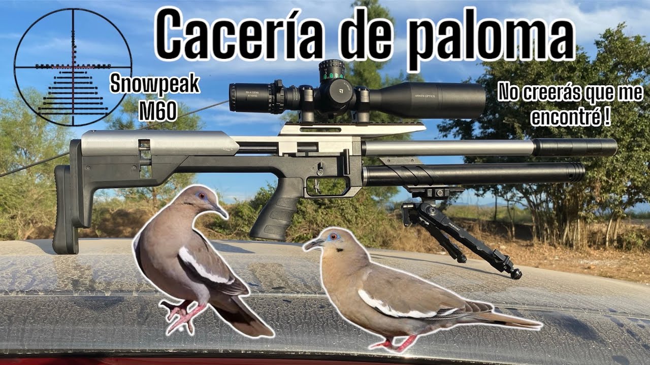 Que aventura nos tocó ‼️ Cacería de paloma con snowpeak m60, mira lo que me encontré en el campo