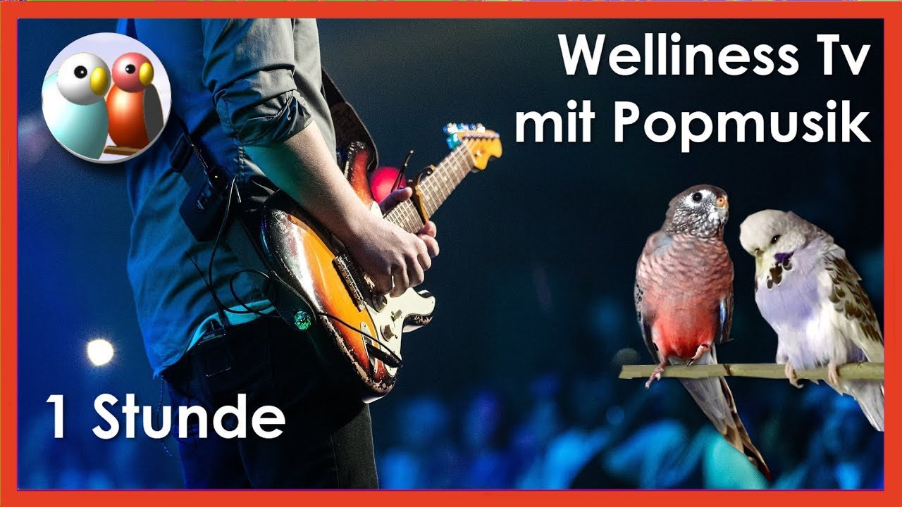 Langeweile war gestern! Popmusik für müde Wellensittiche 57