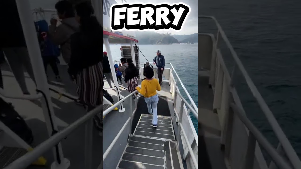 Ensenada/Catalina Island recap 2025