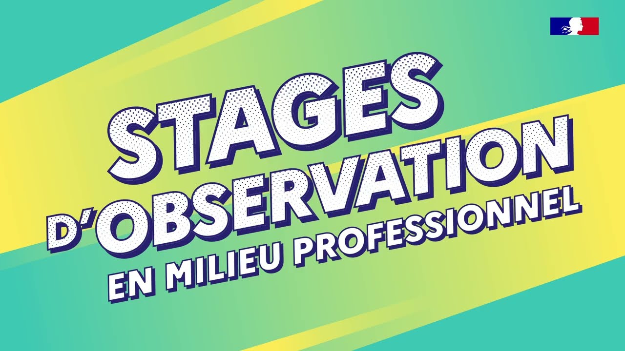 Stages Observation 2nde 2026 : le tuto pour les entreprises d'Aveyron