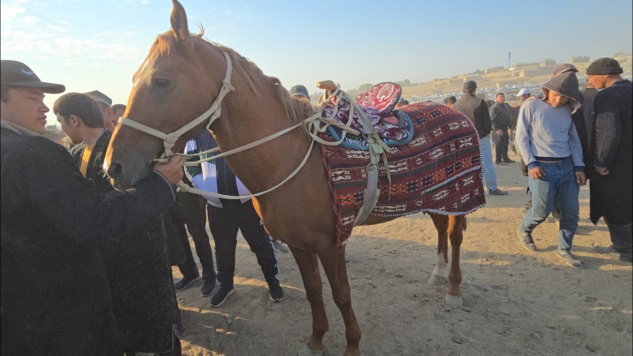 QASHQADARYO CHIROQCHI CHORSHANBI OT BOZORI 