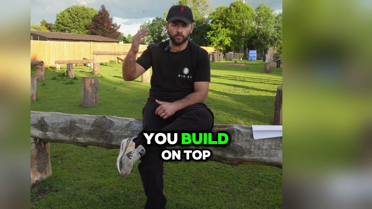 DOG TRAINING & SELECTION