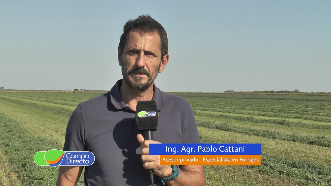 Espacio Forrajero - Calidad de Corte en Alfalfa