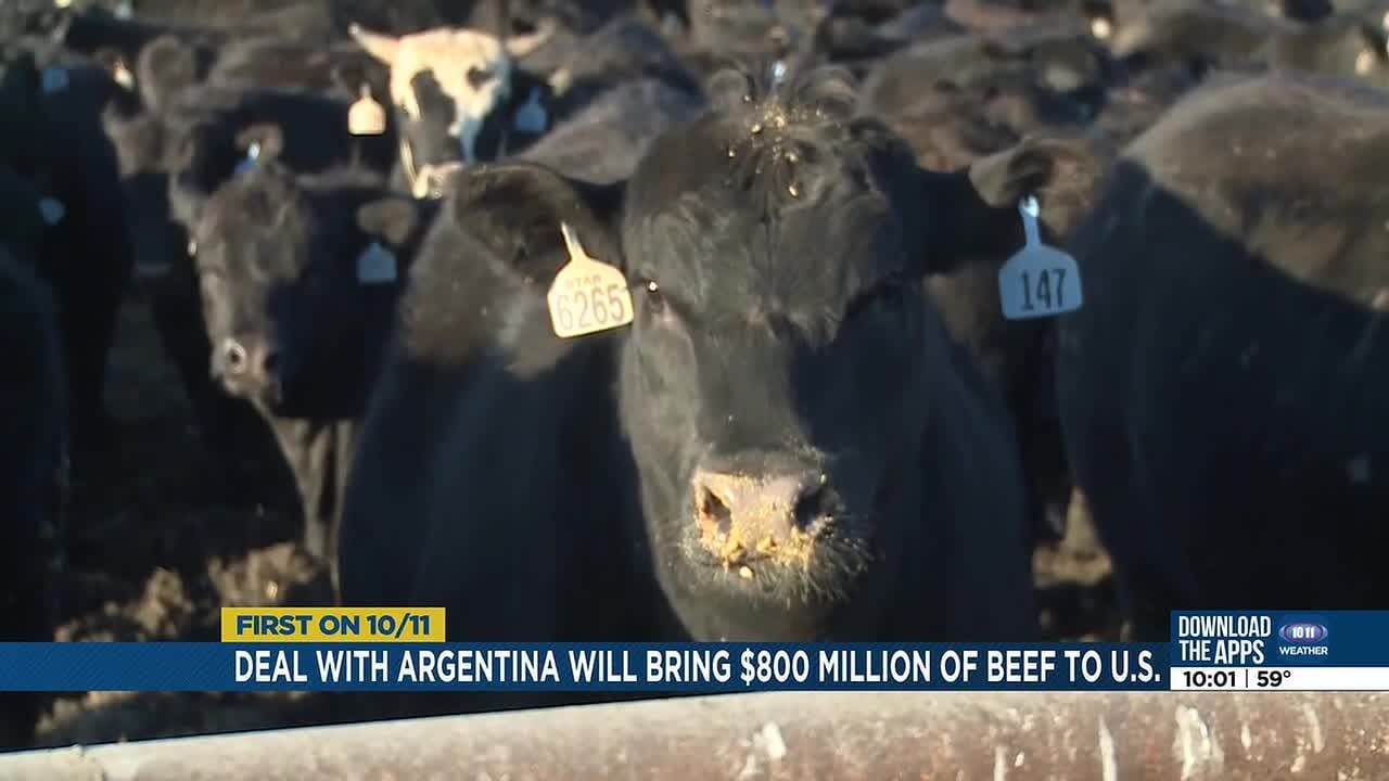 Trump signs $800 million beef import deal as Nebraska cattle herds shrink to 64-year low