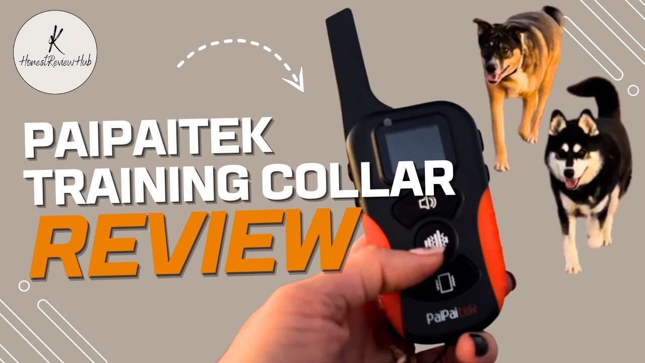 🦮 PaiPaitek Training Collar - A Budget Alternative to High-End Brands (No Shock, Vibration Works!)