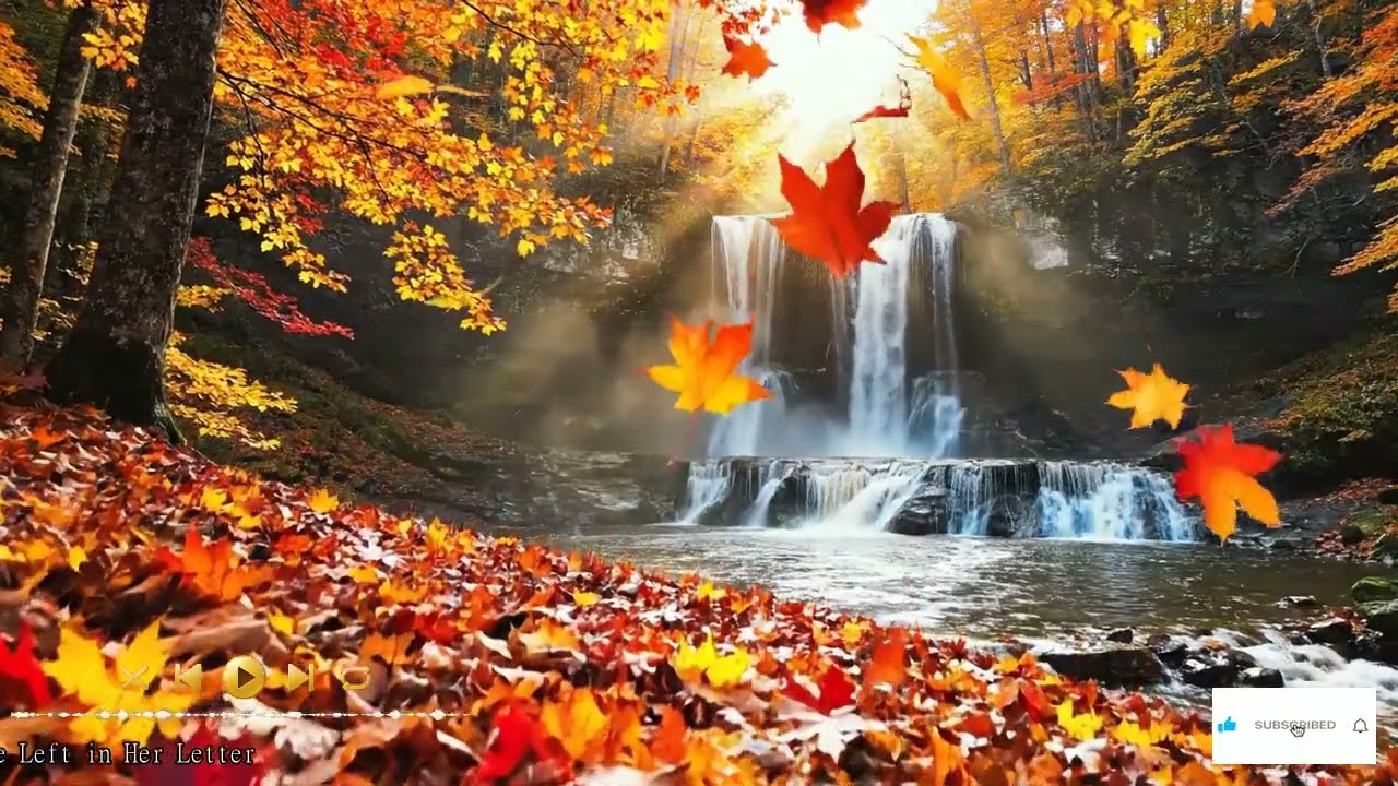 Relaxing Guitar Music: Meditation Music, Instrumental Music, Calming Music, Soft Music- After the L