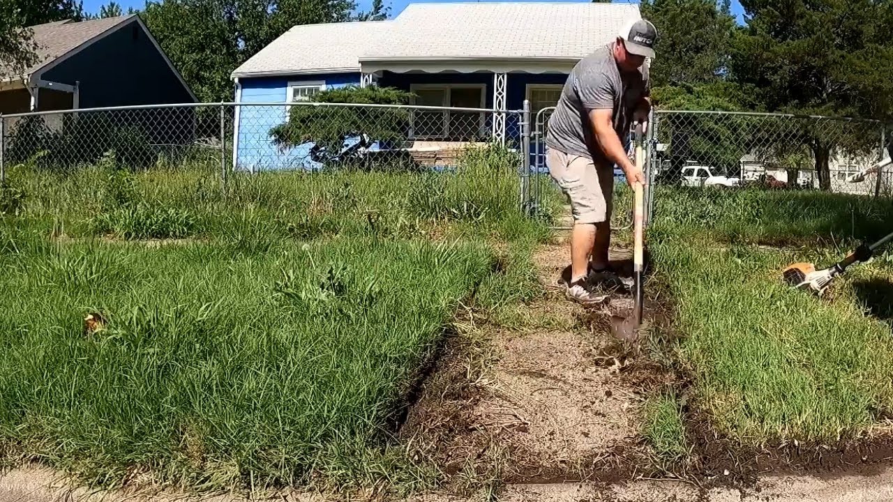 Homeowner Said We IMPROVED The Entire Neighborhood With MASSIVE Cleanup