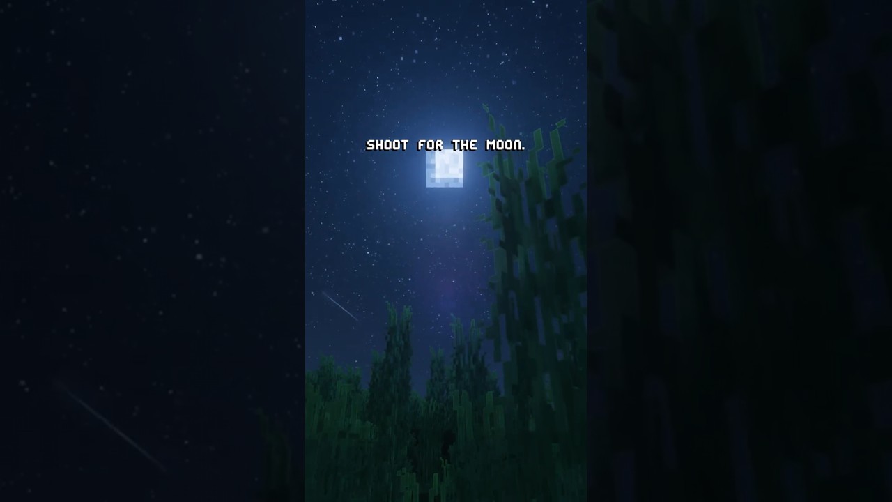 shoot for the moon — the stars will catch you ⭐