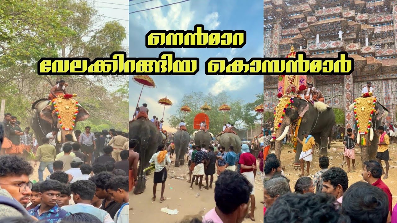 നെൻമാറ വേലക്കെത്തിയ കൊമ്പൻമാർ /Nenmaravallangivela/Anapremikal/parrassinivlog/trending video