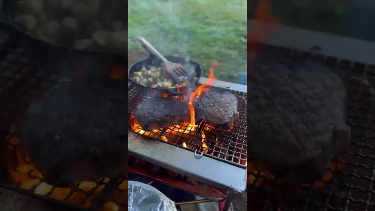 World's Greatest Camping Grill (Snow Peak Takibi Grill)