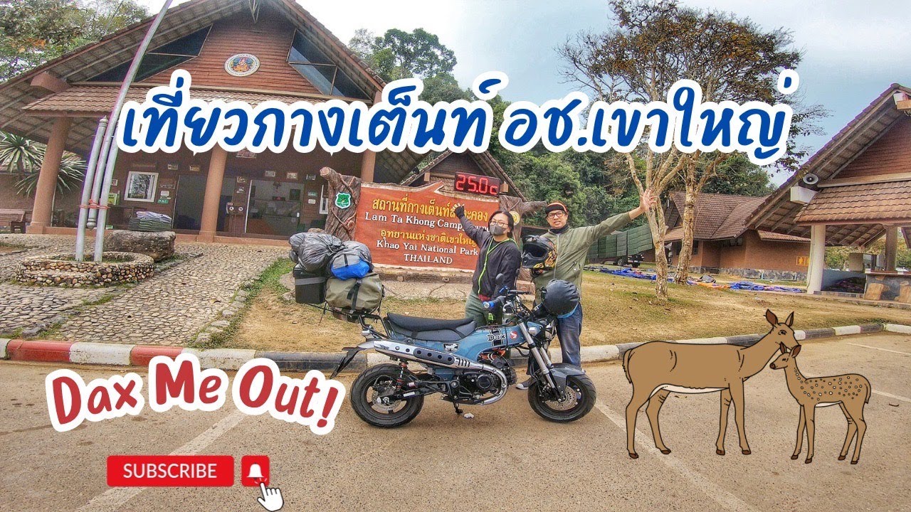 ขี่รถกางเต็นท์อุทยานแห่งชาติเขาใหญ่ Honda DAX ST125 DAX ME OUT #dax #hondadax #เขาใหญ่ #st125