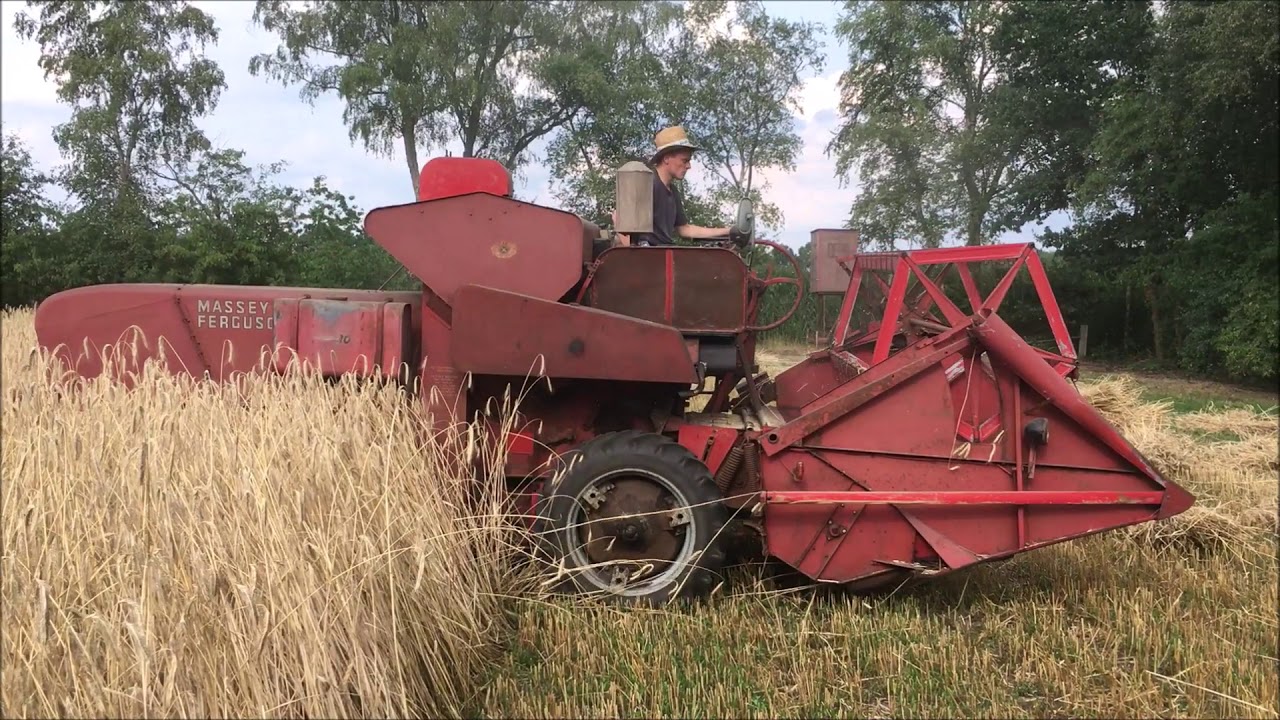 Güldner G35a mit Claas Maximum, Hanomag R16 mit Mähbinder und MF 30 Mähdrescher im Einsatz !