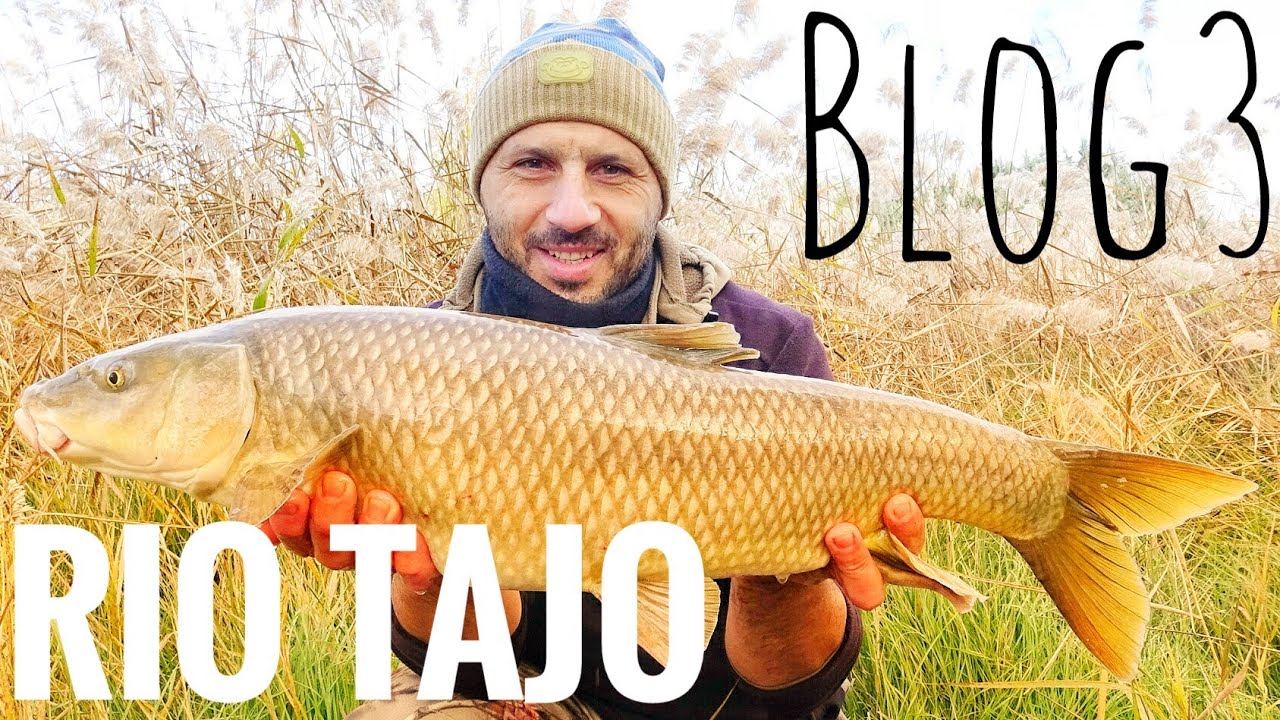 Carpfishing#Rio Tajo#Blog3# Bienvenido invierno!