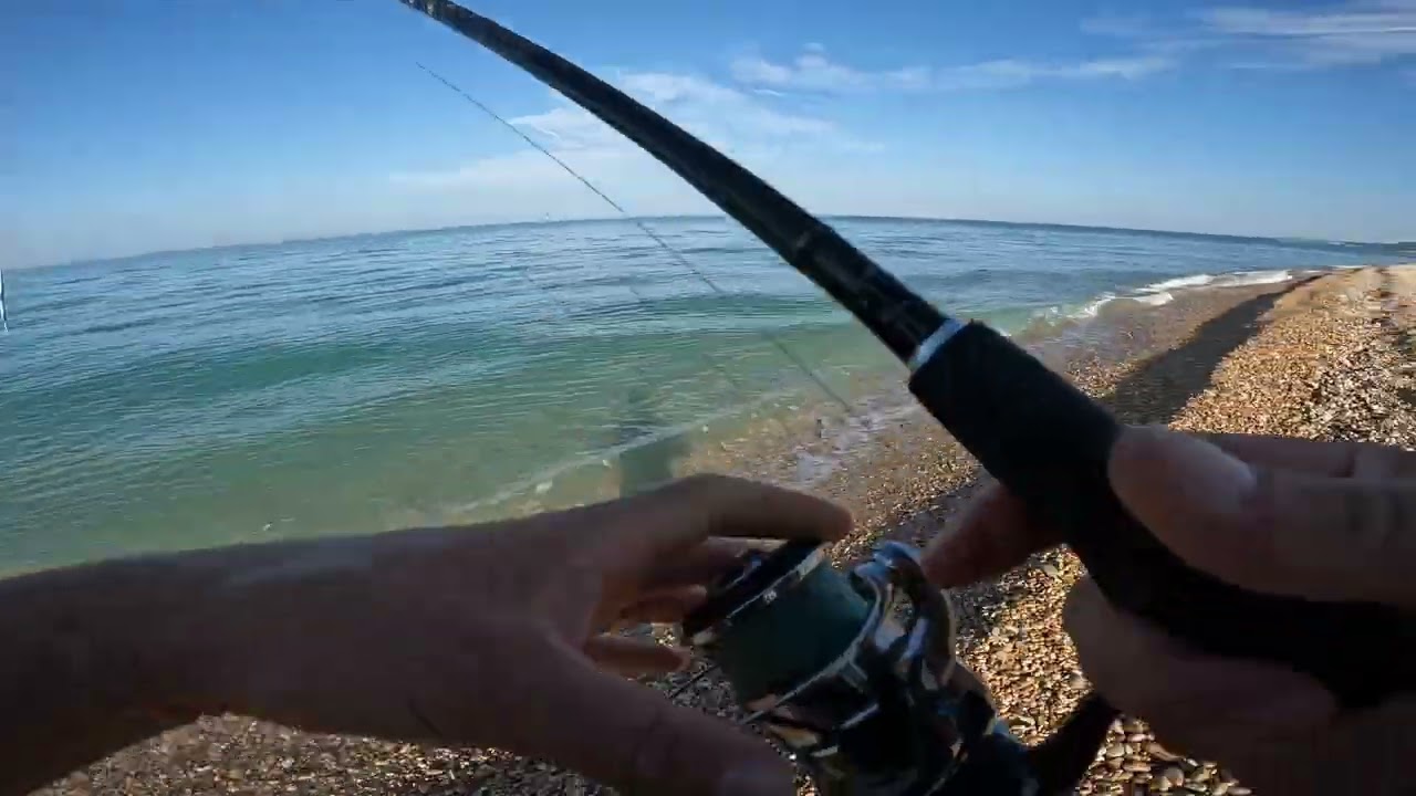 Jack Fin Stylo Jointed 255 in azione