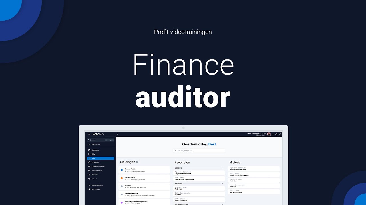 Finance auditor