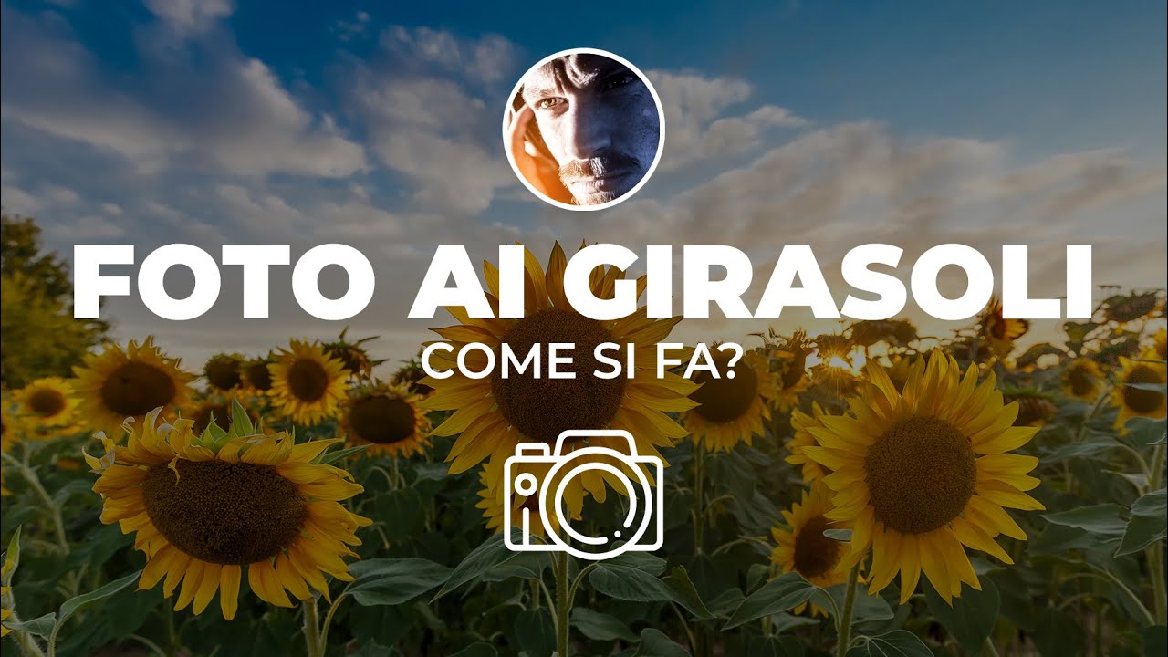 Fotografare i campi di girasoli | Guida alla fotografia di paesaggio HDR con i colori del tramonto