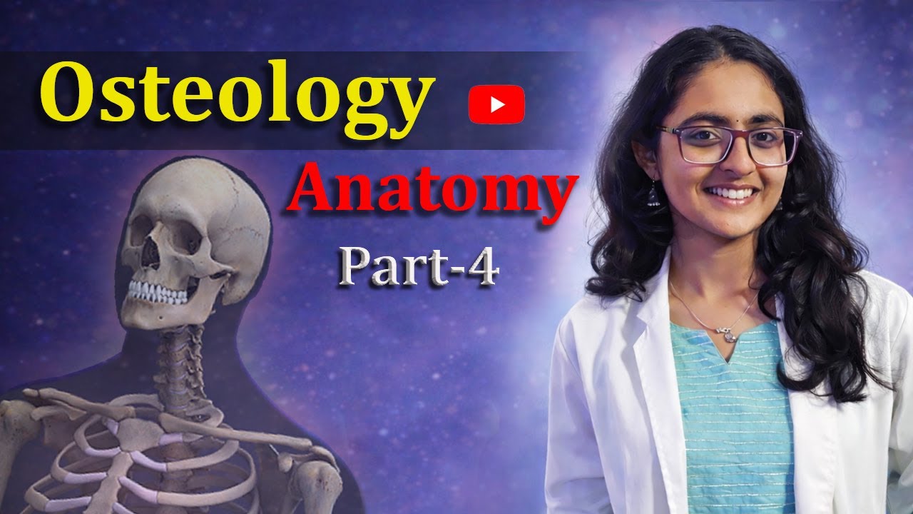 Femur & Sternum (Osteology Part-4) | Anatomy 